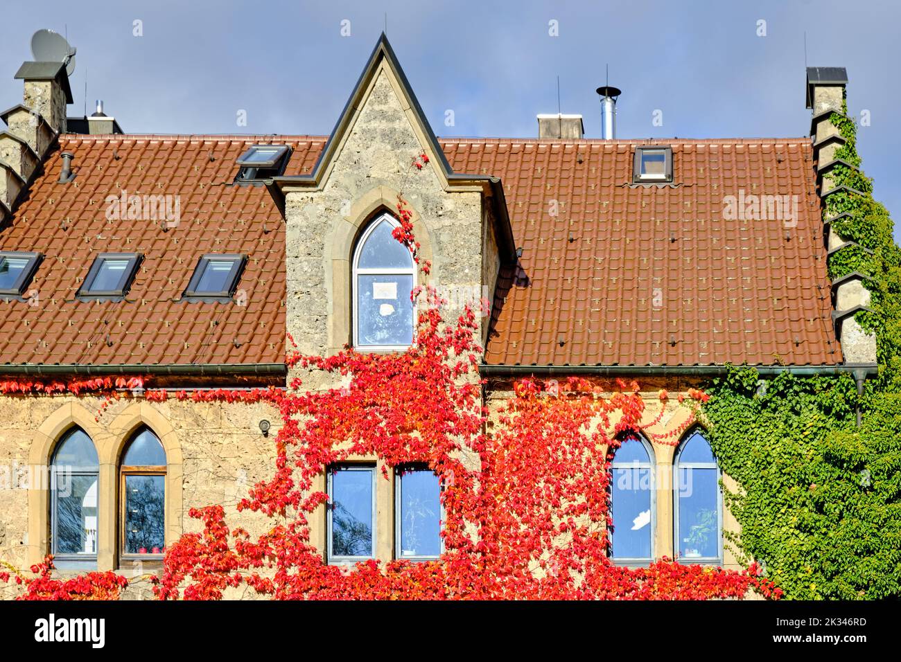 Antigua casa de estilo neogótico que está cubierta de hojas rojas de otoño, utilizando el ejemplo de la antigua posada Forester Lichtenstein en Honau, Suabian A. Foto de stock