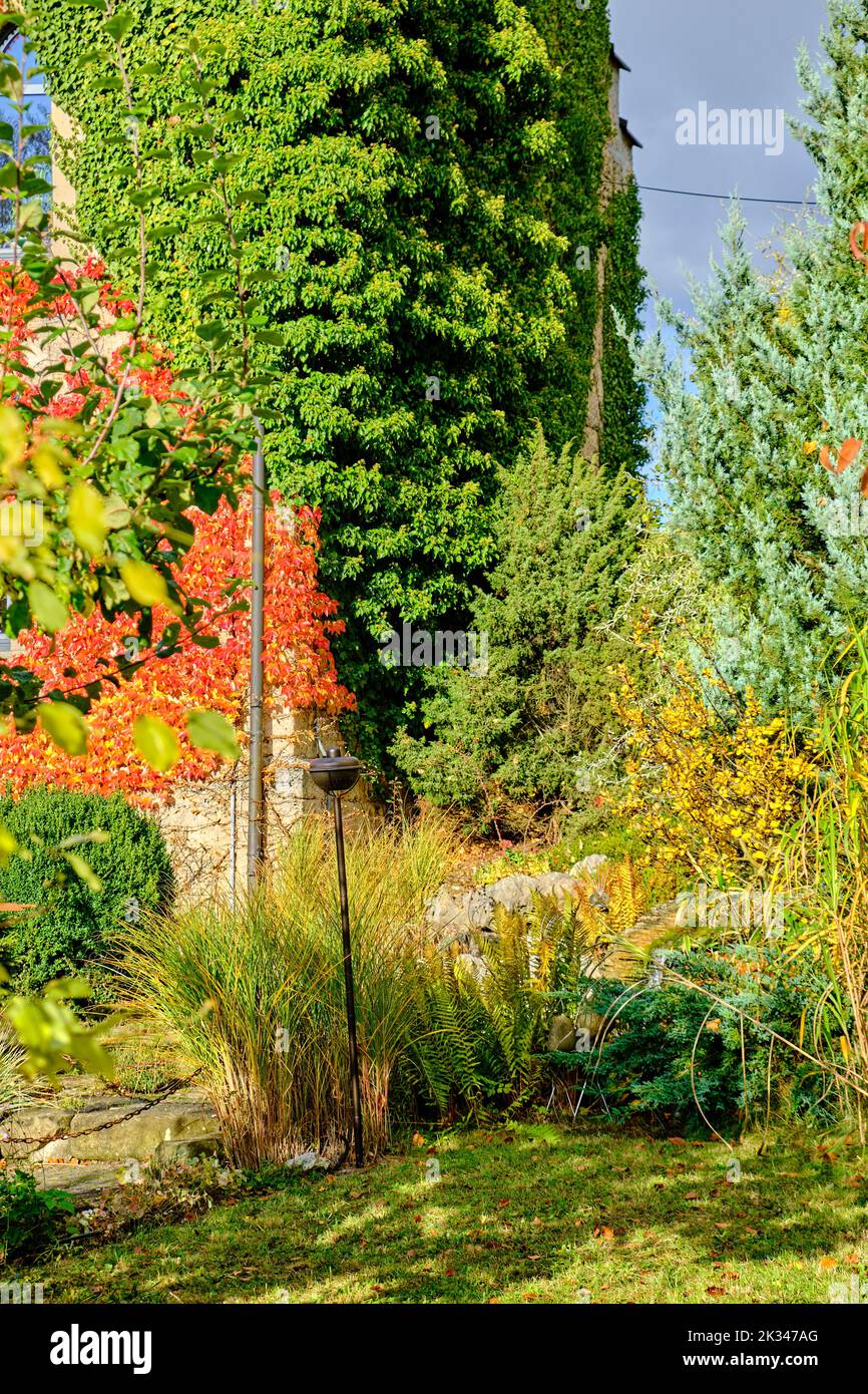 Sección de una parcela de jardín con muro cubierto en otoño. Ausschnitt eines Gartengrundstücks mit zugewucherter Mauer im Herbst. Foto de stock