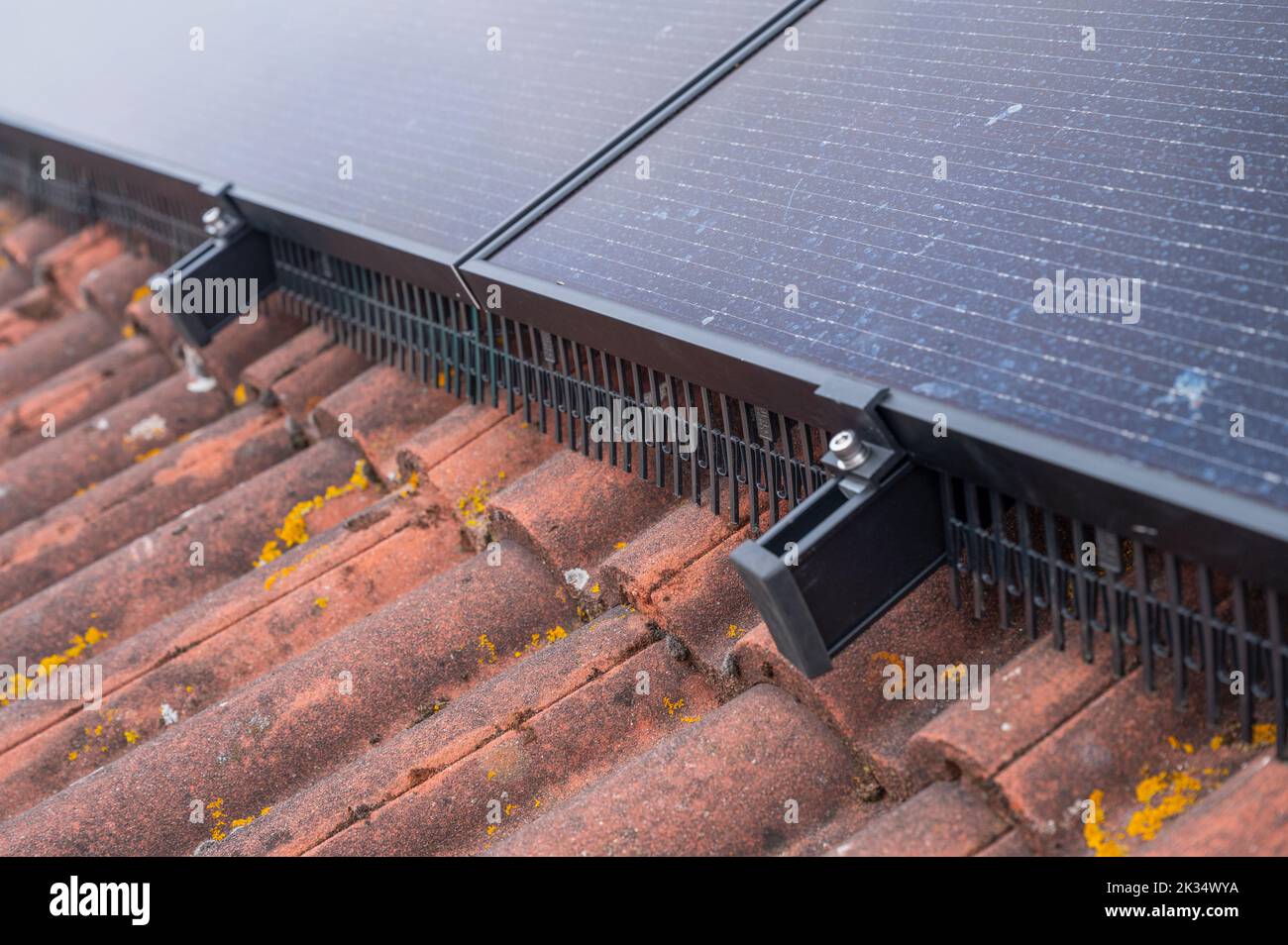 Guardas de aves alrededor del borde de los paneles solares fotovoltaicos en el techo de una casa en el Reino Unido Foto de stock