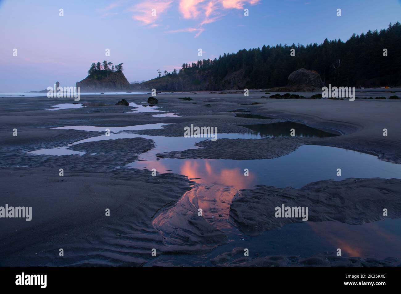 Segunda Playa, Olympic National Park, Washington Foto de stock