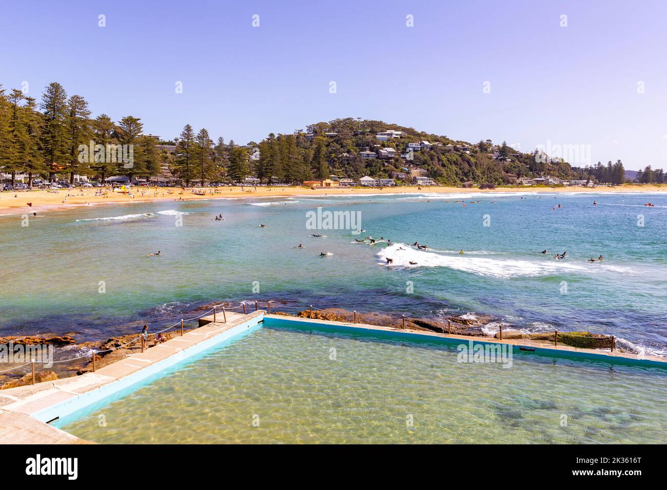 Palm beach en Sídney en un día de primavera con vistas desde la piscina de la playa de Johnny Jack Carter, Sídney, Nueva Gales del Sur, Australia Foto de stock