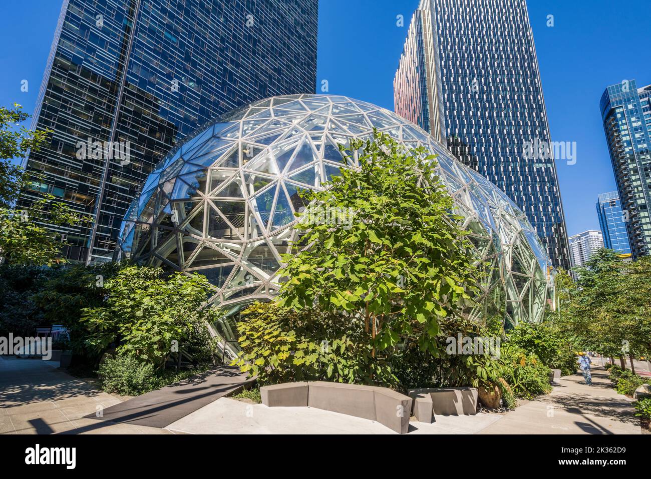 Amazon se encuentra en el campus de la sede central de Amazon, Seattle, Washington, EE.UU Foto de stock