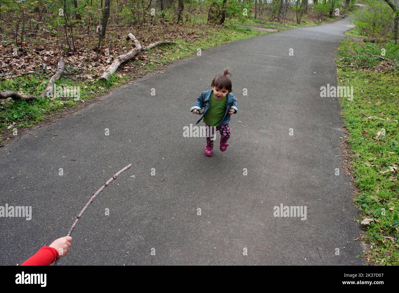 El niño camina en el bosque Foto de stock