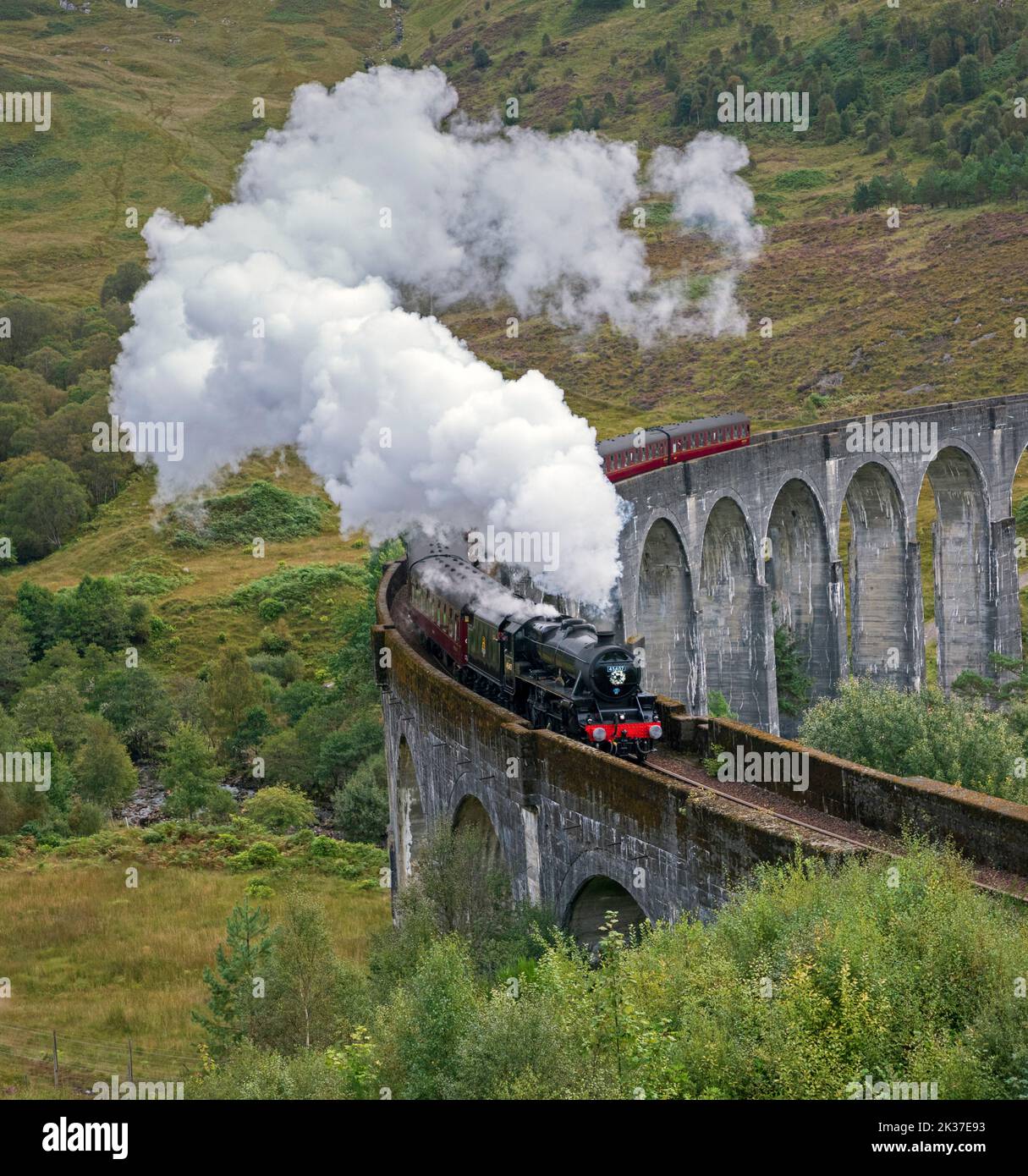 Tren de Vapor Jacobita, Viaducto de Glenifinnan, Lochaber, Tierras Altas Escocesas, Escocia, REINO UNIDO Foto de stock
