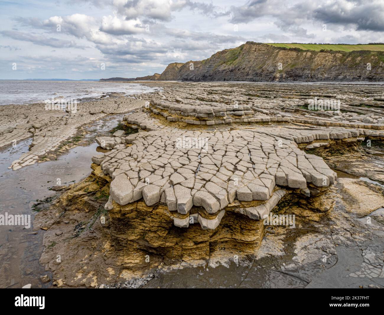 Erosión de la plataforma cortada por olas en los lechos de pizarra jurásica y de piedra caliza de Lias en Quantock's Head, en la costa británica de Somerset Foto de stock
