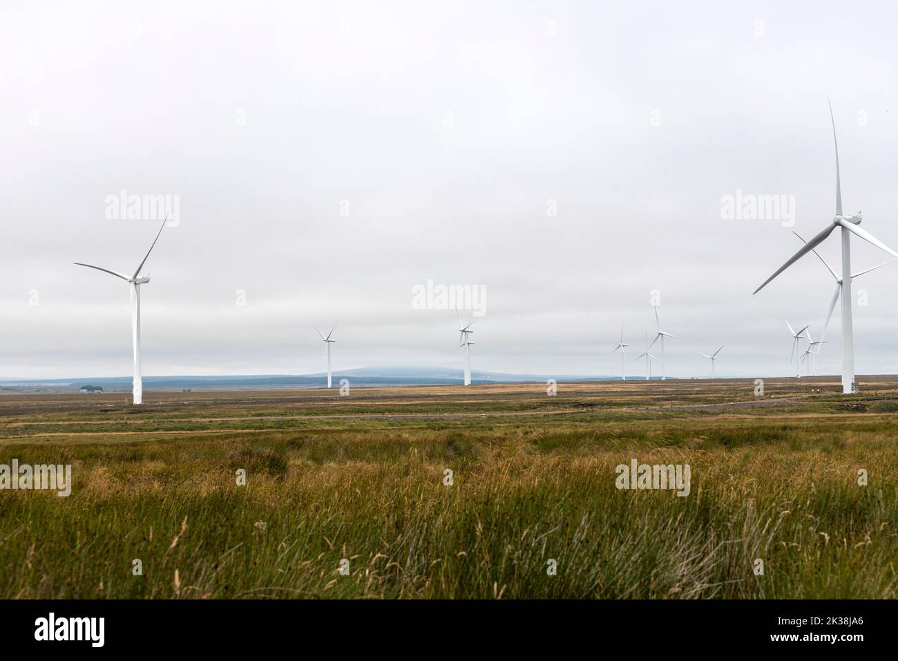 Parque eólico a lo largo de A9 cerca de Tacher, Halkirk, Escocia, Highland, Reino Unido Foto de stock