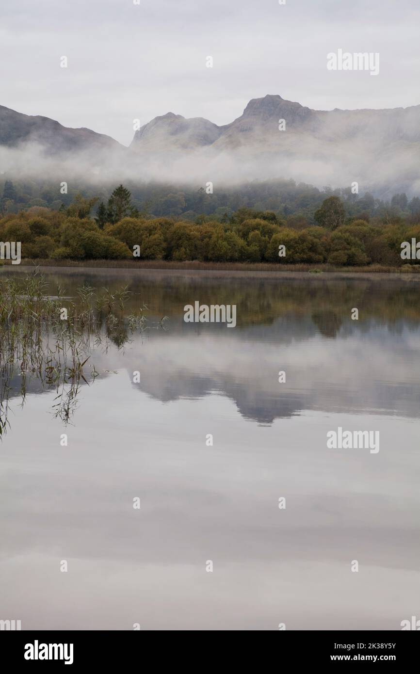 Langdale Pikes se reflejó en Elter Water, Lake District, Reino Unido Foto de stock