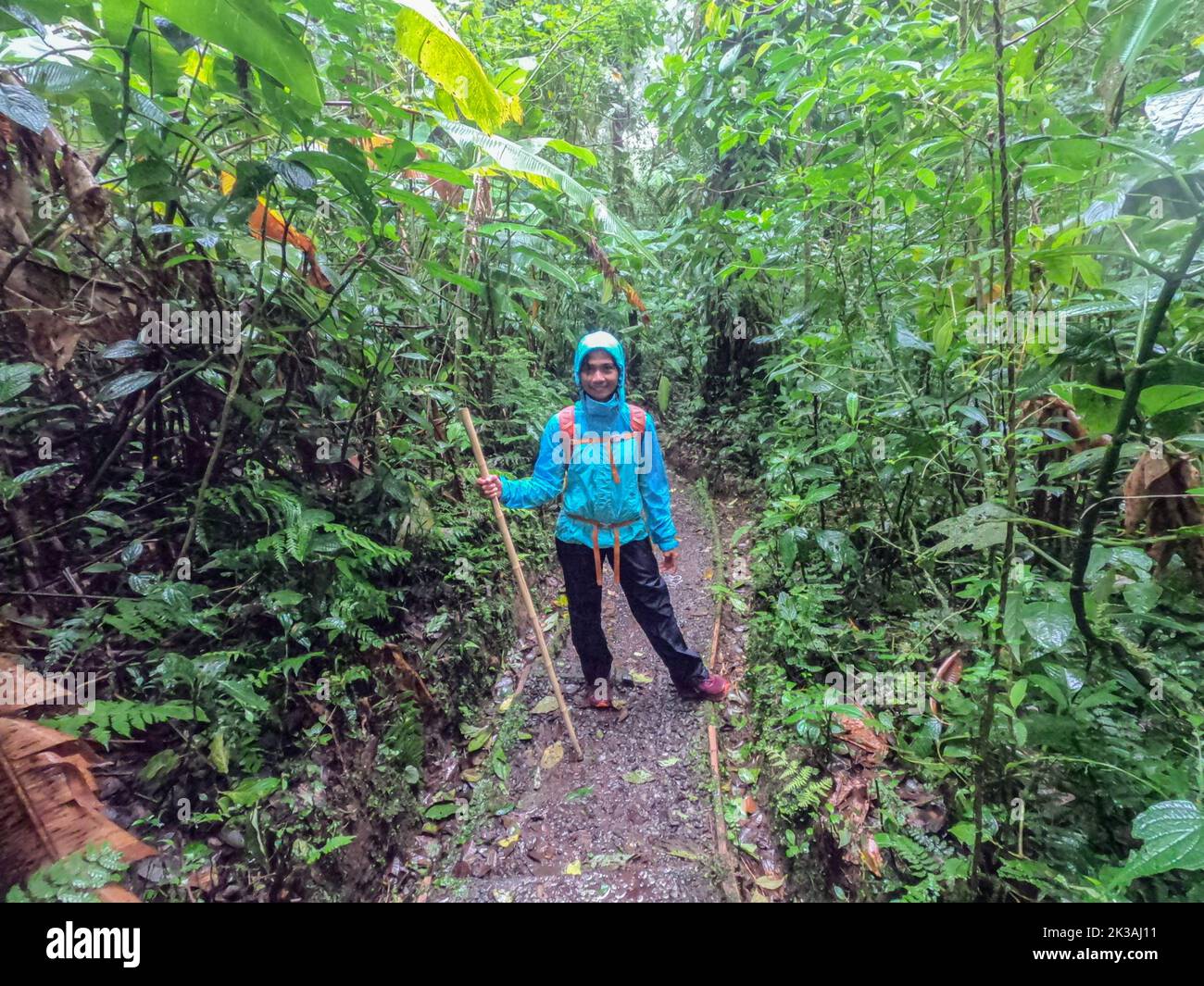 Trekking en la selva, Refugio de Vida Silvestre Gandoca Manzanillo, Costa Rica Foto de stock