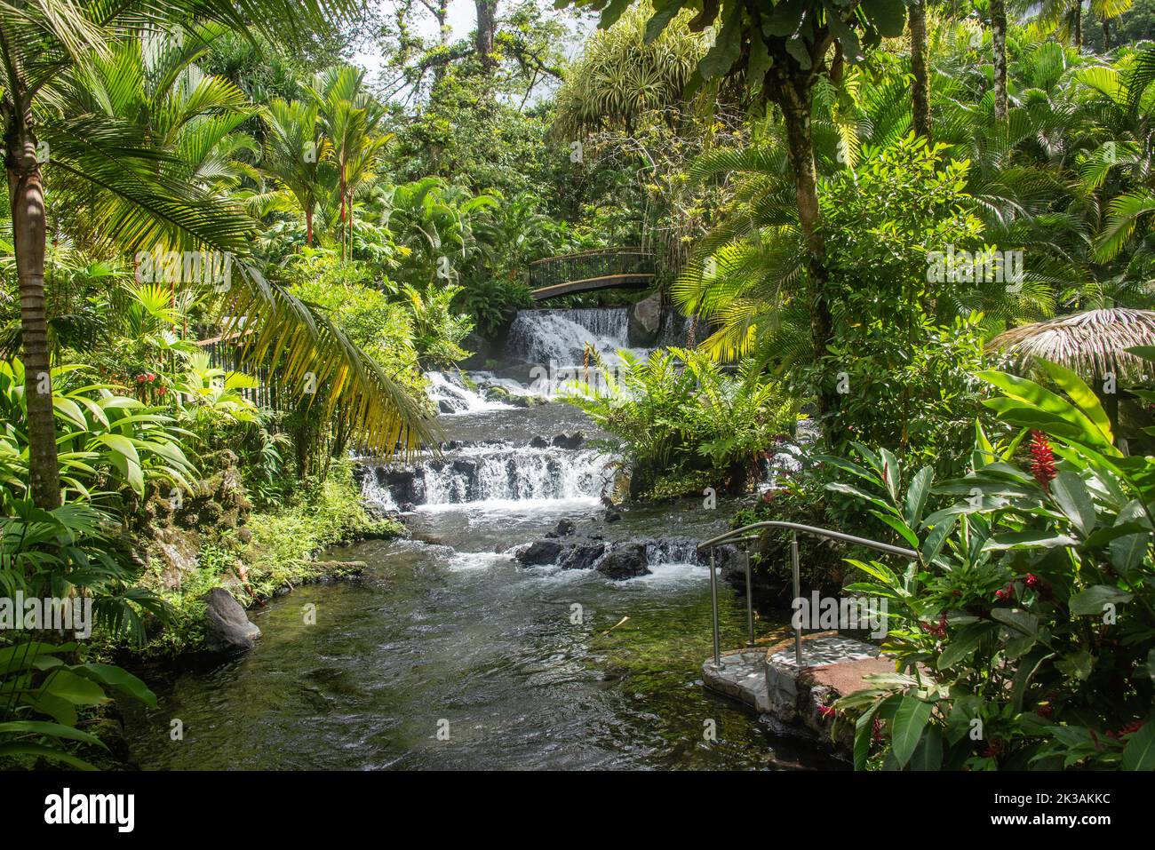 Disfrute de un río caliente en Tabacon Hot Springs, La Fortuna, Costa Rica Foto de stock