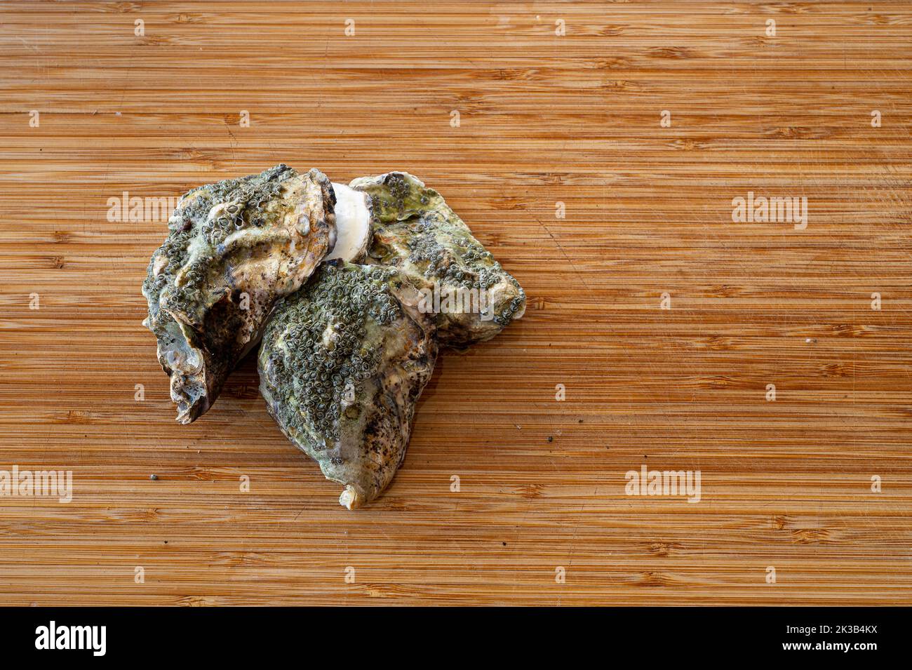 Tres ostras en una tabla de cortar de madera marrón, Dinamarca, 22 de septiembre de 2022 Foto de stock
