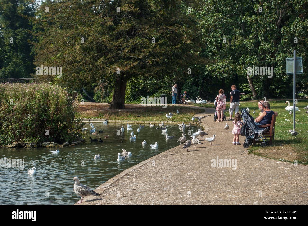 El lago, la abadía de Kearsney, el jardín, el parque, Dover, Kent, Inglaterra Foto de stock