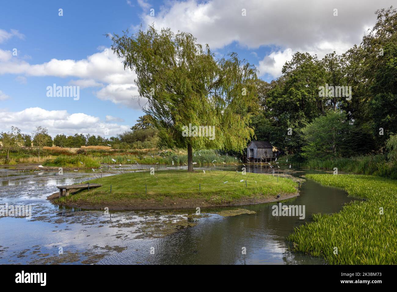 El estanque del pato, Júpiter Artland, Wilkieston, Edimburgo, Lothian del oeste, Escocia. Foto de stock