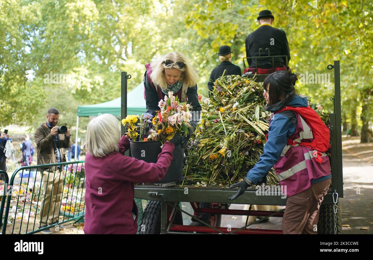 El personal y los voluntarios de Royal Parks comienzan a eliminar los tributos florales de Green Park en Londres para ser llevados al vivero de Hyde Park y luego composted en Kensington Gardens. El abono será usado en proyectos de paisajismo y shubberies a través de los Parques Reales. Fecha de la foto: Lunes 26 de septiembre de 2022. Foto de stock