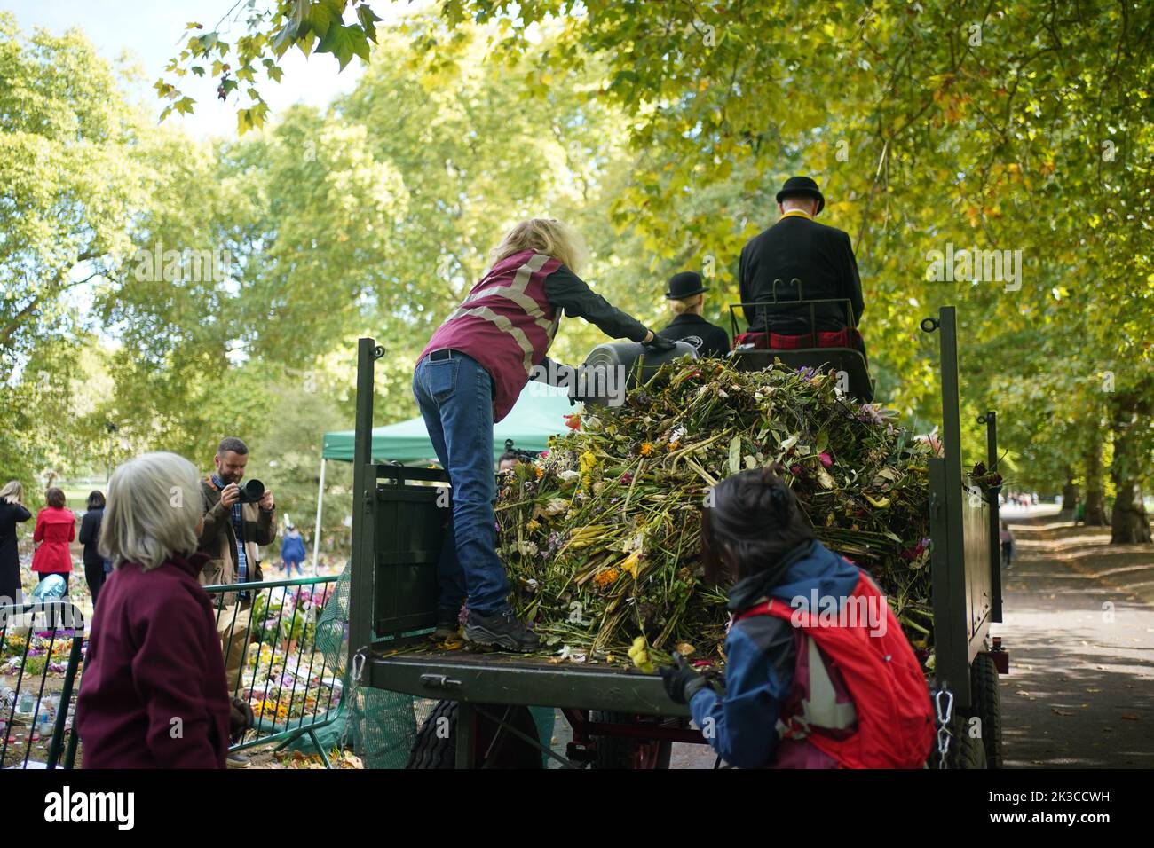 El personal y los voluntarios de Royal Parks comienzan a eliminar los tributos florales de Green Park en Londres para ser llevados al vivero de Hyde Park y luego composted en Kensington Gardens. El abono será usado en proyectos de paisajismo y shubberies a través de los Parques Reales. Fecha de la foto: Lunes 26 de septiembre de 2022. Foto de stock