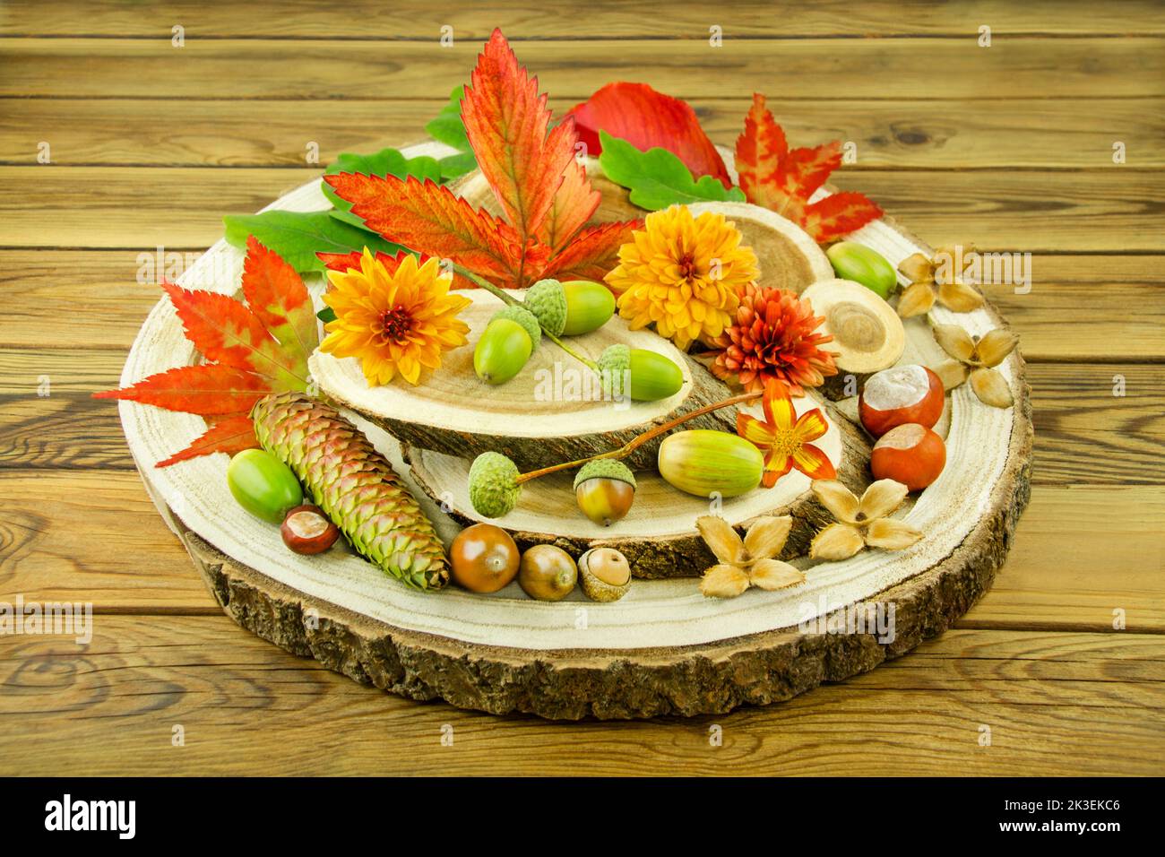 Natürliche Dekoration im Herbst mit Kastanien, Eicheln, Blumen und Herbstlaub auf Holz Foto de stock