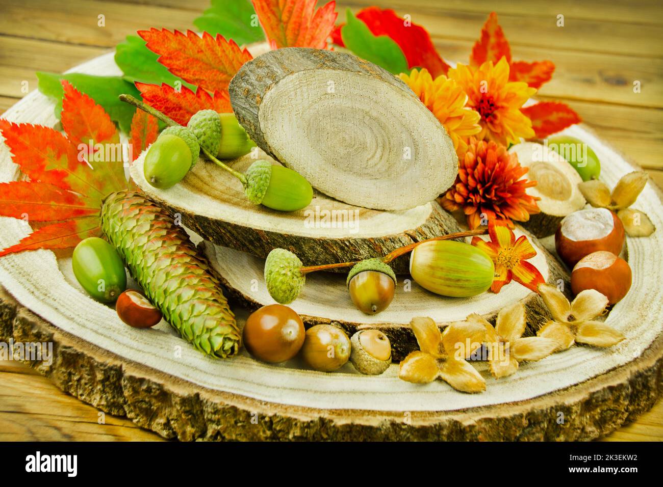 Natürliche Dekoration im Herbst mit Kastanien, Eicheln, Blumen und Herbstlaub auf Hol Foto de stock