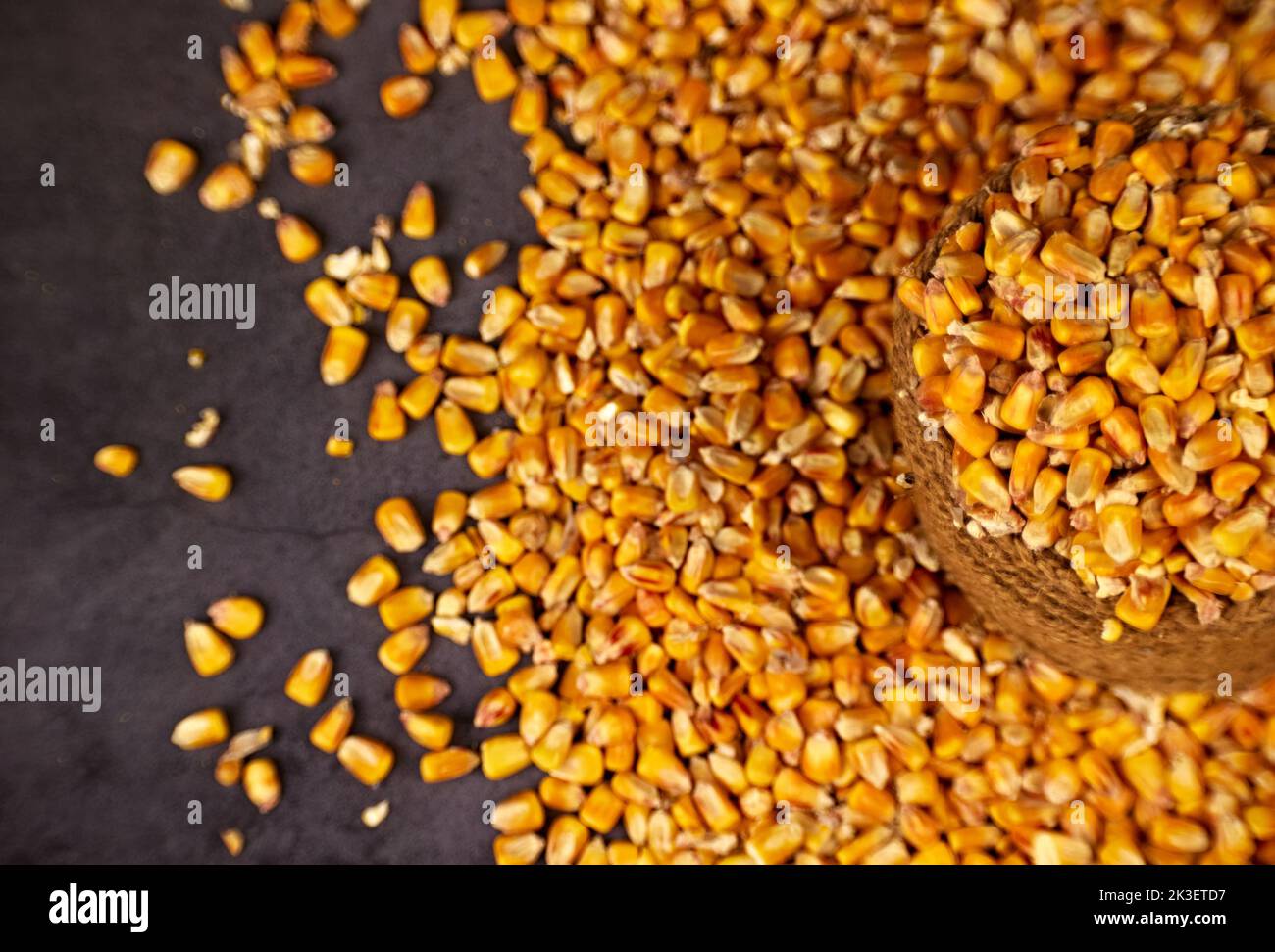 Capa superior de granos de maíz en un saco de yute sobre un fondo oscuro Foto de stock