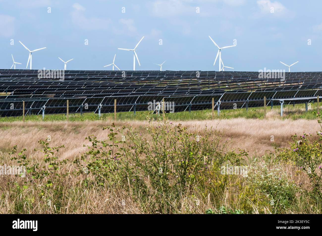 Paneles solares y aerogeneradores llenan los antiguos pastos de Monfort