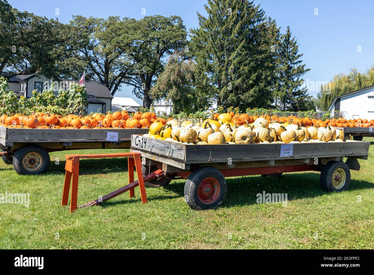 Calabazas a la venta en un mercado agrícola cerca de Fontana, Wisconsin, América Foto de stock