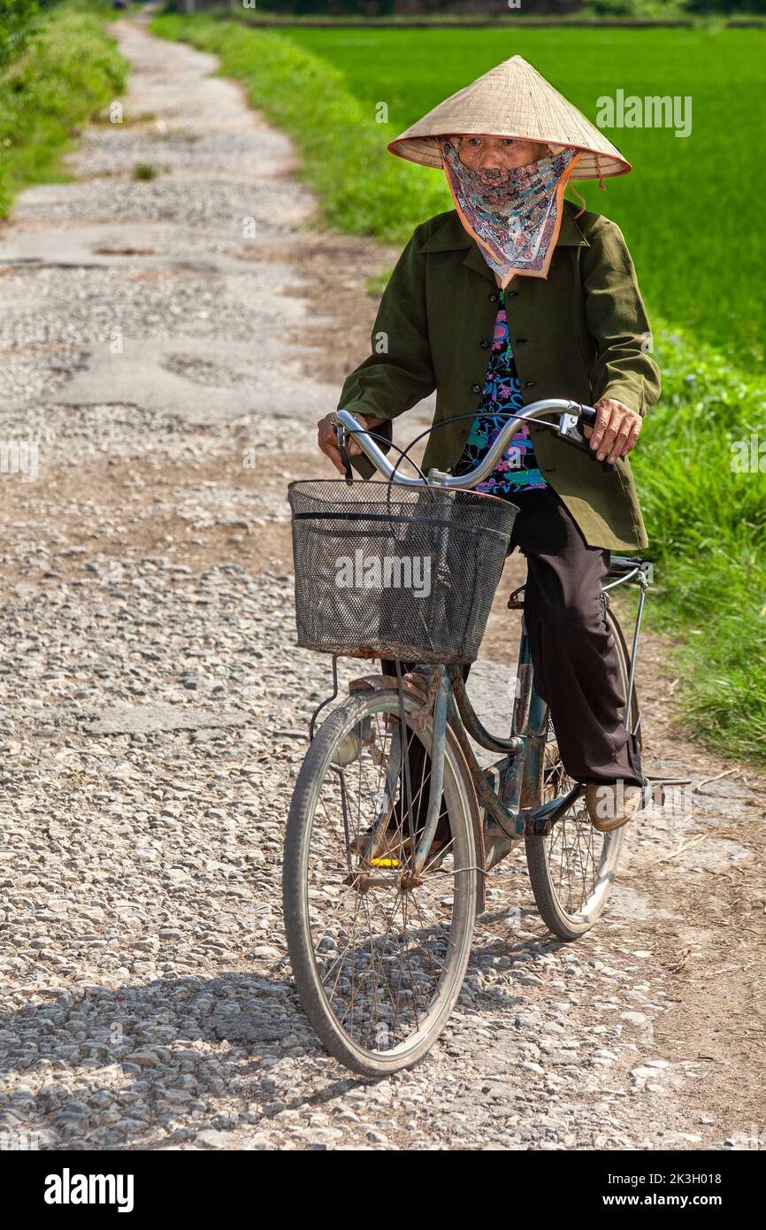 Ciclista con sombrero de bambú en la carretera rural de Hai Phong, Vietnam Foto de stock