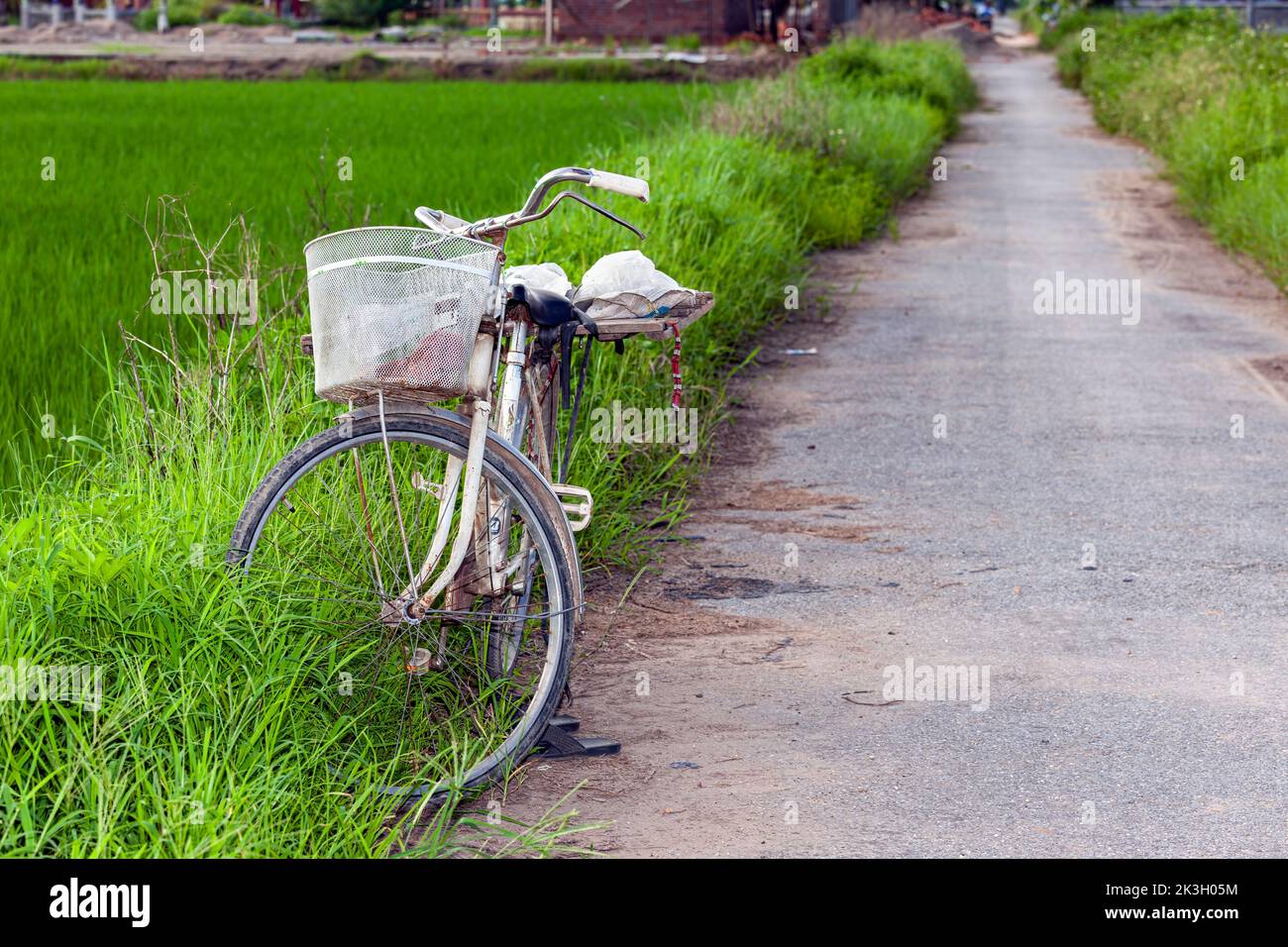 Estacionamiento de bicicletas en arrozales, Hai Phong, Vietnam rural Foto de stock
