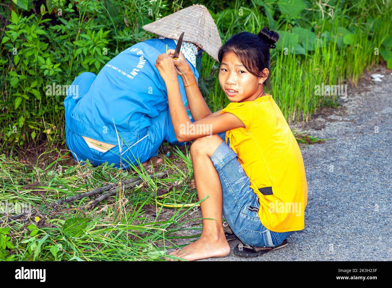 Niña vietnamita sentada al lado de la carretera con un trabajador recortando cultivos, Hai Phong, Vietnam Foto de stock