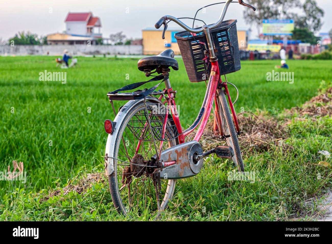 Estacionamiento de bicicletas en arrozales, Hai Phong, Vietnam rural Foto de stock