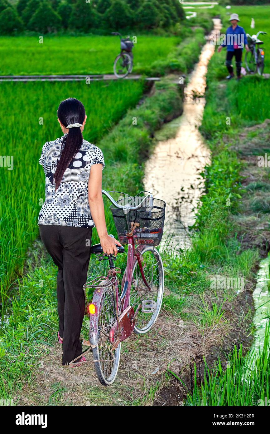 Los trabajadores de las granjas vietnamitas y la bicicleta en arroz cáscara, noche, Hai Phong, Vietnam Foto de stock