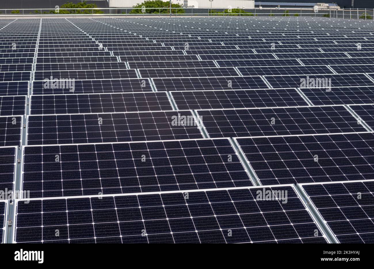 Paneles solares fotovoltaicos en un techo industrial en los Países Bajos Foto de stock