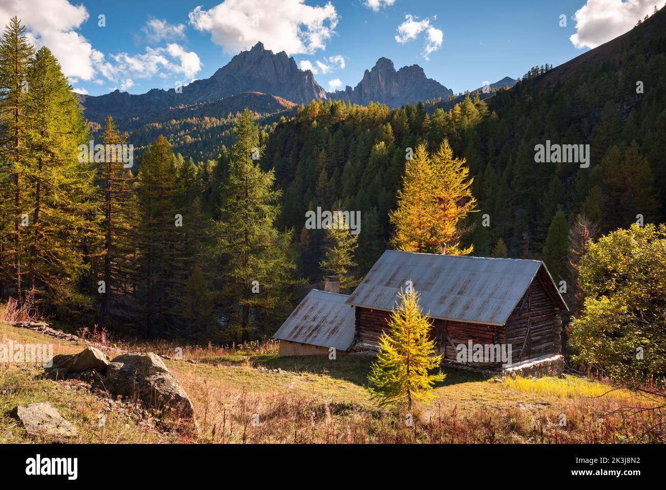 Claree Valley en el Macizo de Cerces con alerces en colores otoñales. Vallee de la Claree, Nevache, Hautes-Alpes, Alpes, Francia Foto de stock