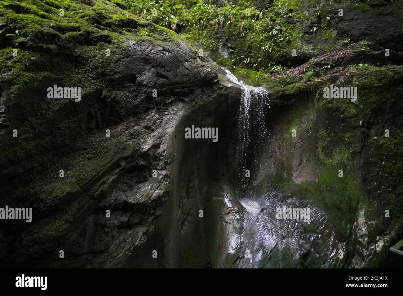 Agua que fluye a lo largo de una pared de montaña en el Rappenlochschlucht cerca de Dornbirn, Austria Foto de stock