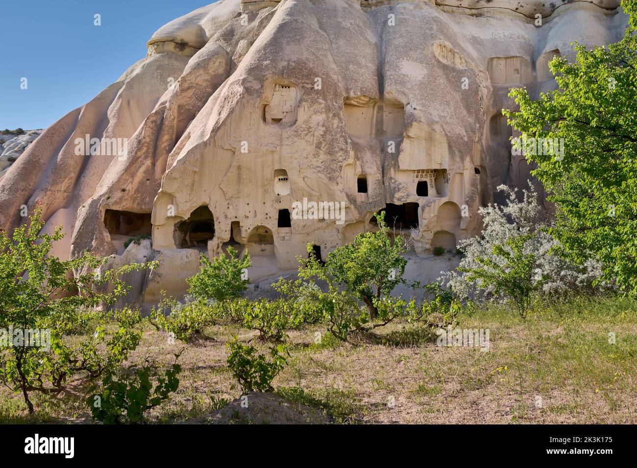 Casas de roca tallada o casas cueva en el paisaje de Rose Valley Goreme, Capadocia, Anatolia, Turquía Foto de stock