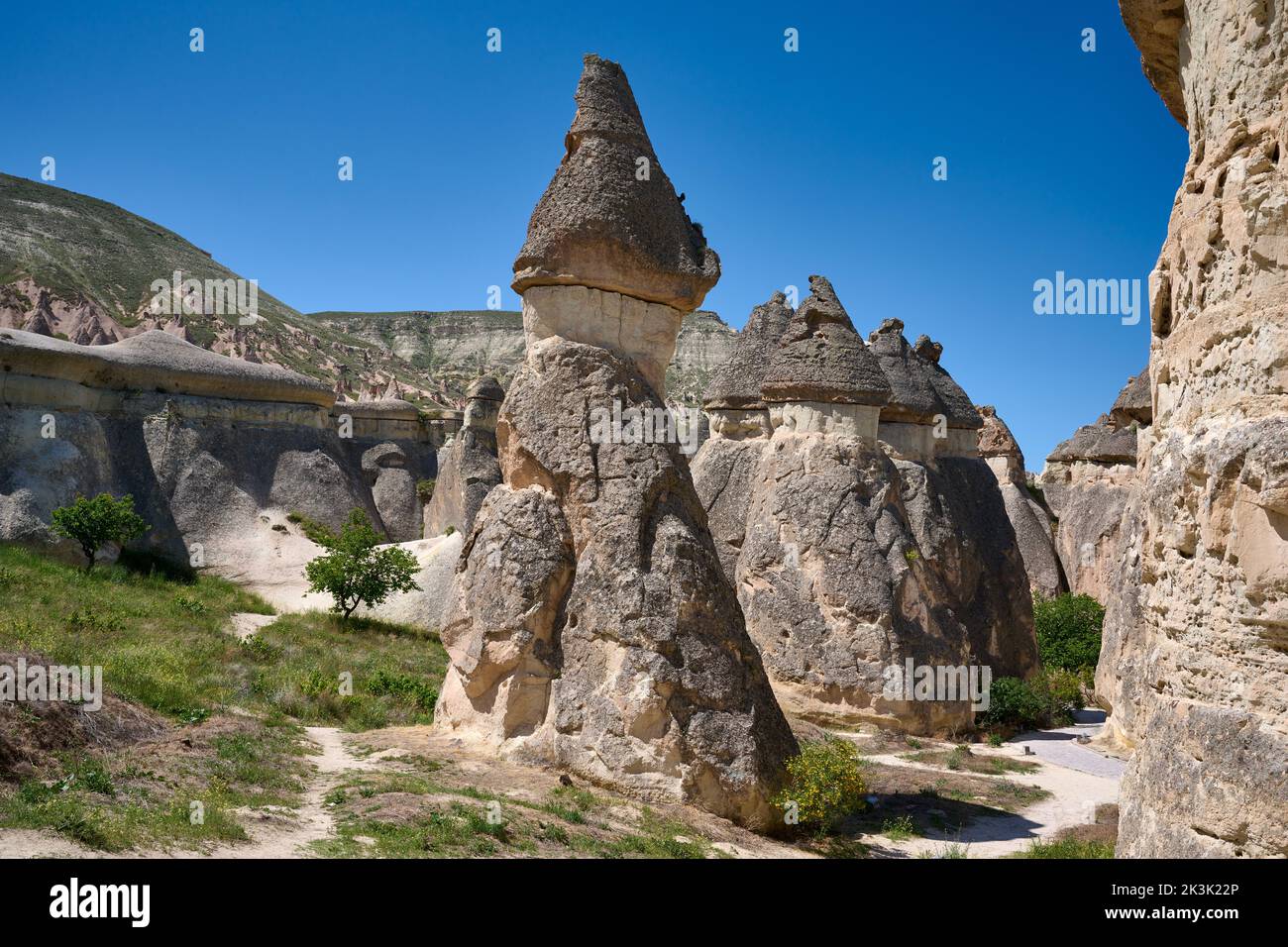 Pintoresco paisaje de rocas de piedra arenisca en forma. Famosas Chimeneas de Hadas o setas de piedra multicabeza en el Valle de Pasaba, Goreme, Capadocia, Anatolia Foto de stock