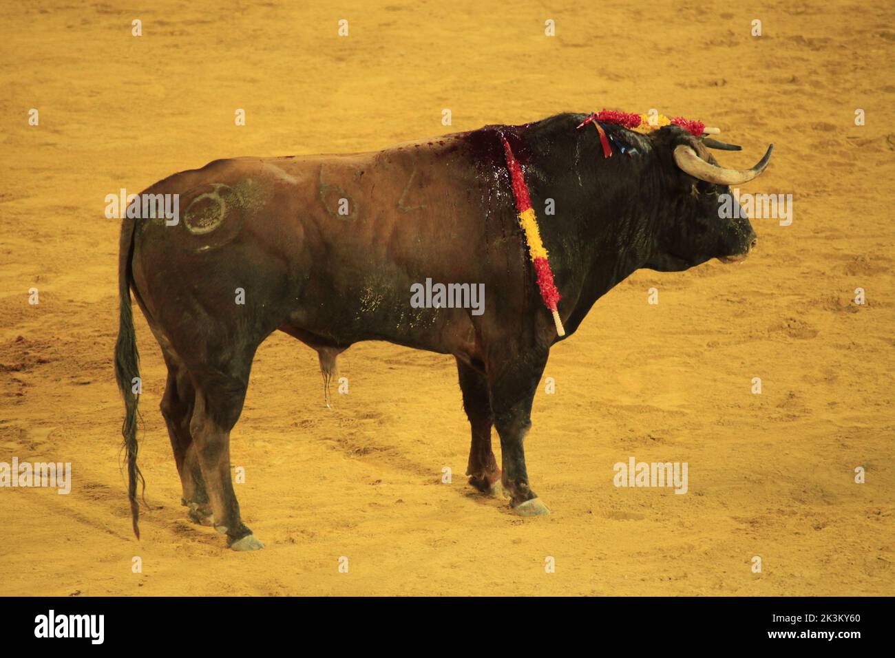 Corrida de toros en España Foto de stock