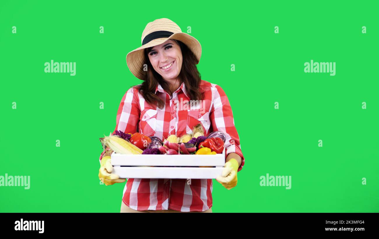 Mujer agricultora sonriente en la camisa a cuadros, guantes y sombrero limpia el sudor, sostiene una caja con diferentes verduras frescas, cosecha. Fondo verde, estudio, alimentos saludables a su mesa. Fotografía de alta calidad Foto de stock