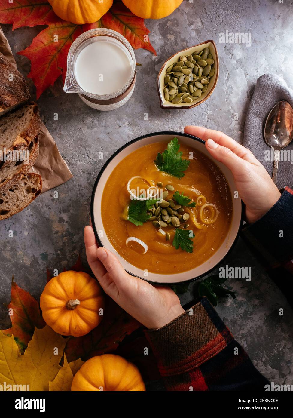 La chica sostiene un plato de sopa de calabaza con las manos contra th Foto de stock