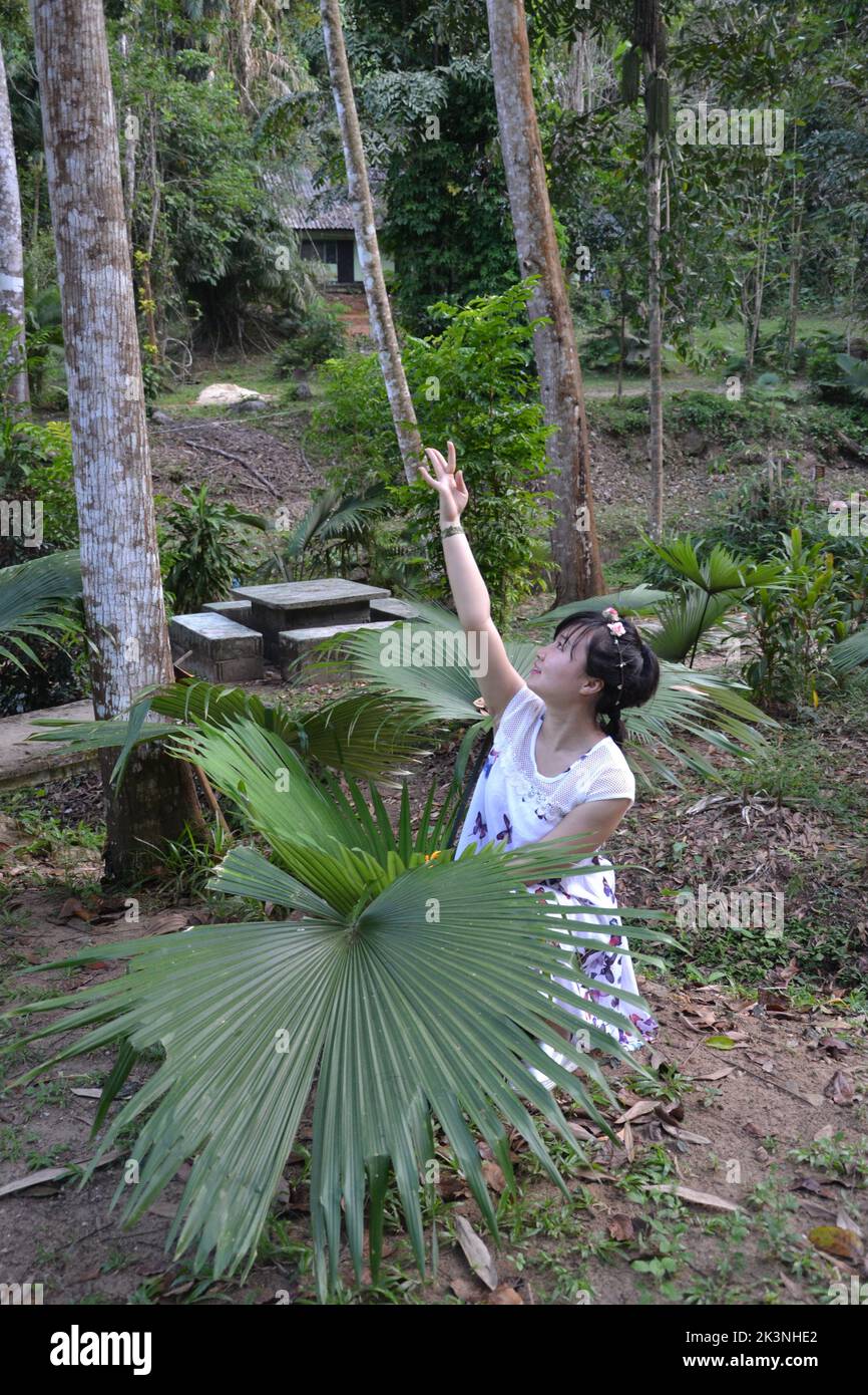 Una niña posando en el bosque de Phuket, Tailandia Foto de stock