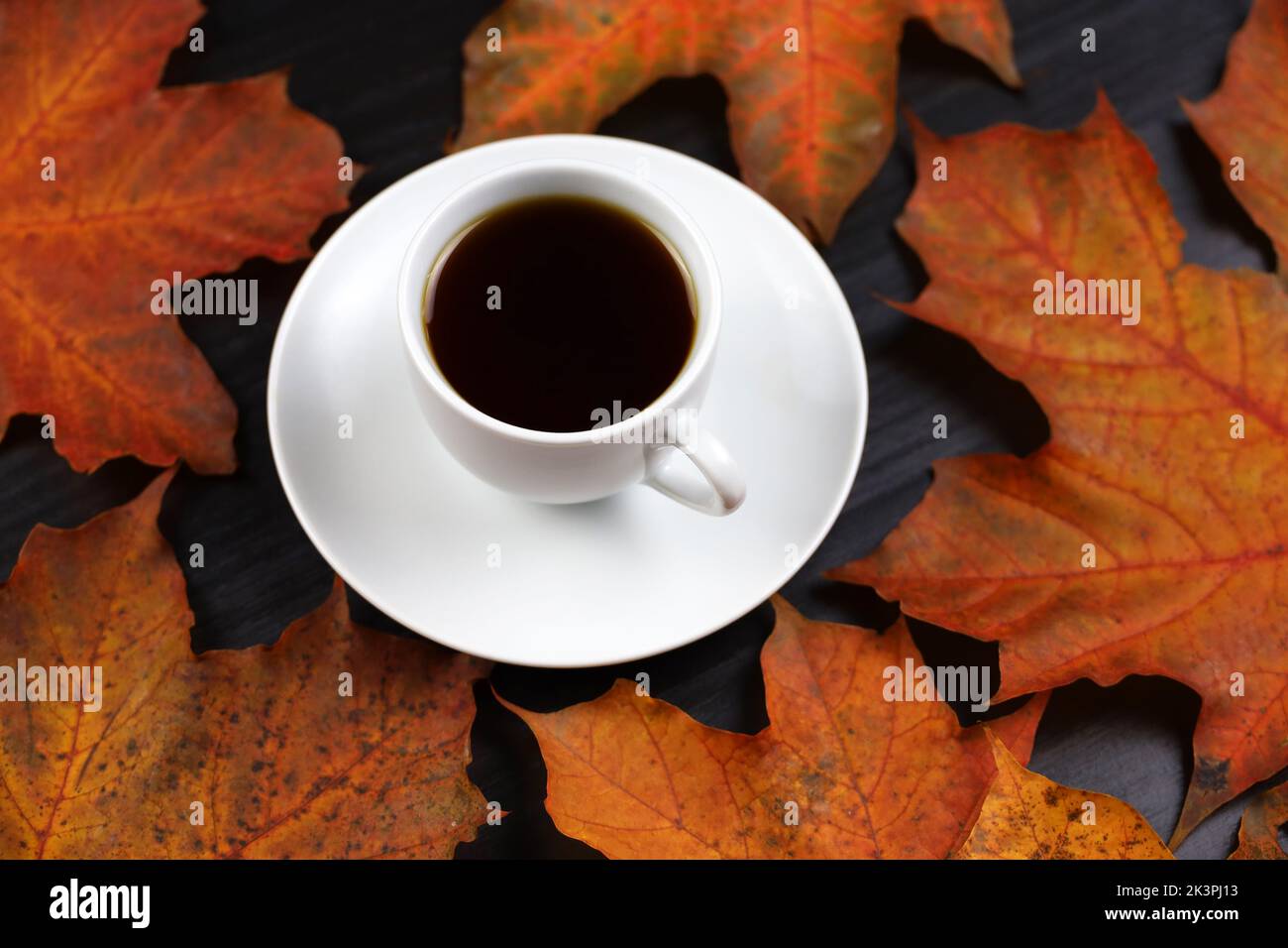 Calienta-tazas de té de otoño en clima frío Fotografía de stock - Alamy