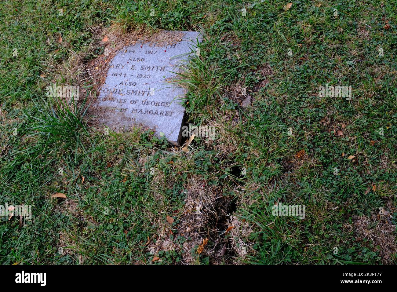 Una lápida, lápida que muestra agrietamiento del suelo debido al clima caliente del Reino Unido. Foto de stock