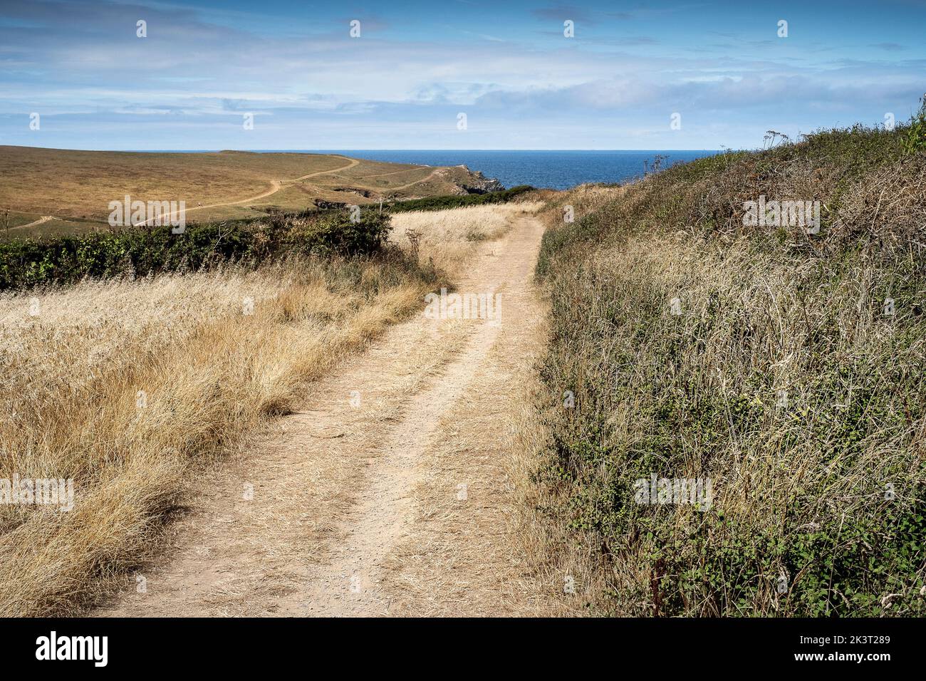 Una ruta costera en un campo que conduce a Polly Porth Joke en West Pentire en Newquay en Cornwall en el Reino Unido. Foto de stock