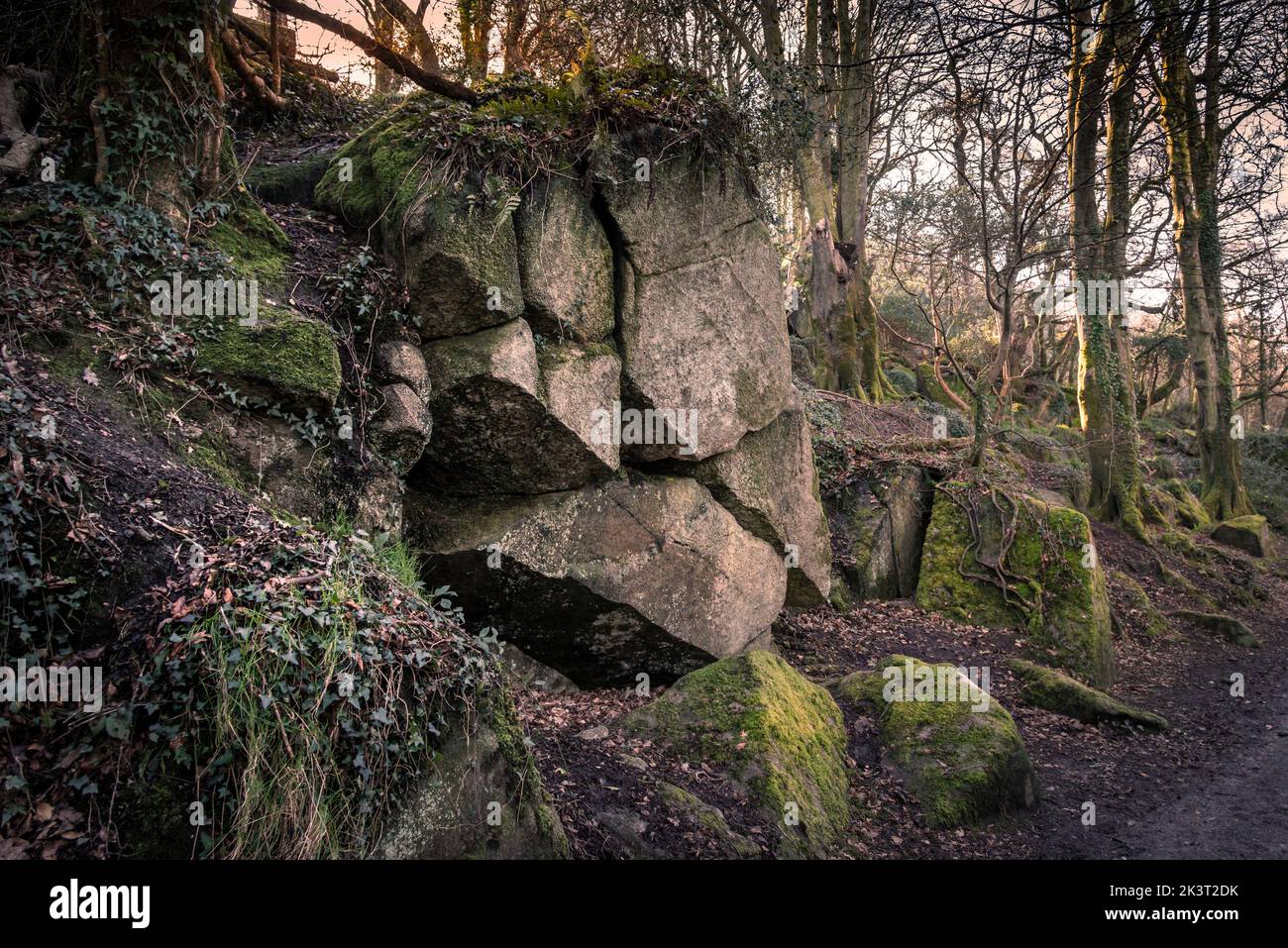 Grandes afloramientos de granito y rocas en la reserva natural de Kennall Vale en Ponsanooth en Cornwall en el Reino Unido. Foto de stock