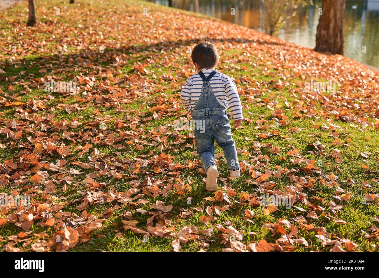 Vista trasera de un lindo niño irreconocible corriendo a lo largo de la pradera en el parque en otoño y divirtiéndose Foto de stock