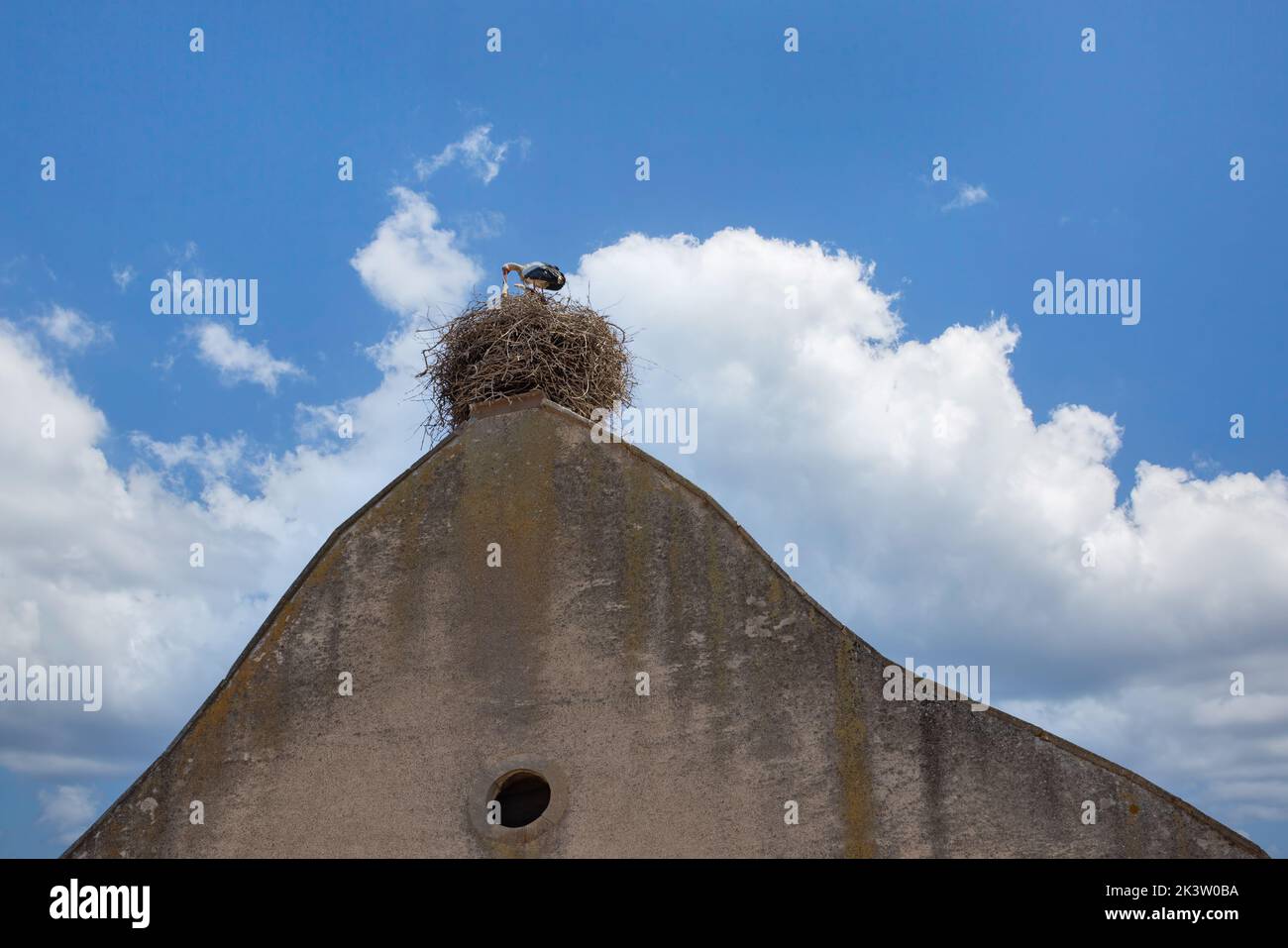 Cigüeñas en un nido en un techo en un pueblo de Alsacia Francia Foto de stock
