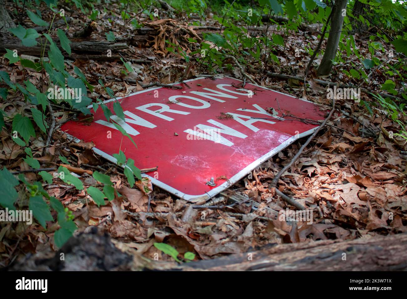 Signo de calle de worg Way caído en el suelo de un bosque Foto de stock