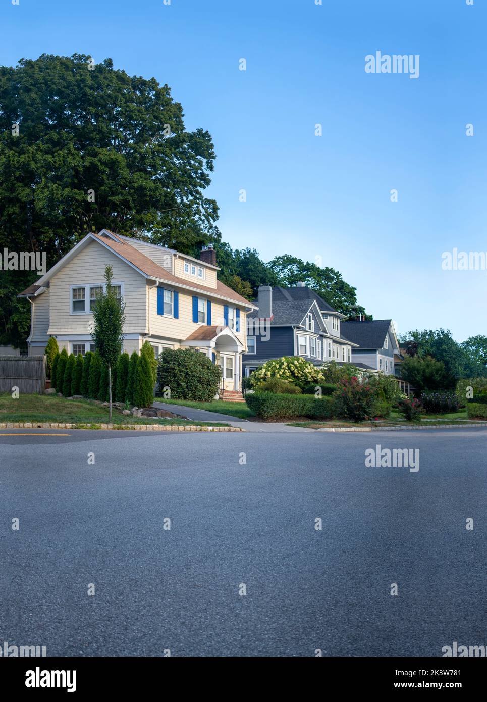 Vista de la carretera de la línea de casas en un entorno suburbano al aire libre con hierba, árboles y cielo azul claro Foto de stock