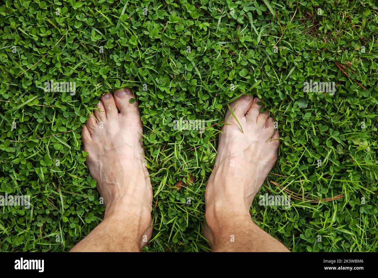 Los pies descalzos de un hombre de pie sobre una hierba verde de un césped, vista superior Foto de stock