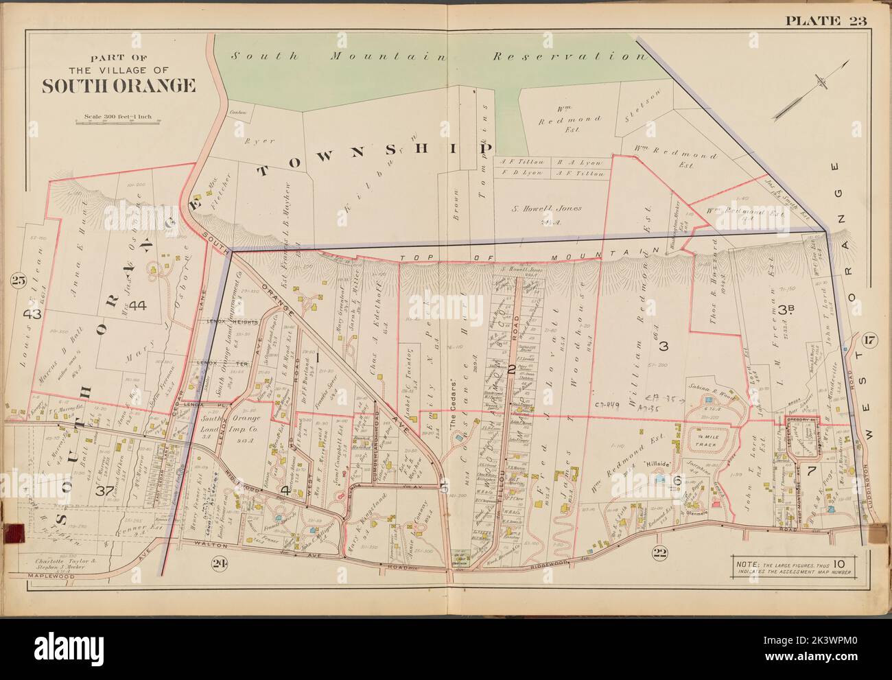 Parte del pueblo de South Orange. 23 Mapa limitado por Luddington Rd., Ridgewood Rd., Walton Ave., Maplewood Ave. Cartographic. Atlas, mapas, mapas catastrales. 1904. División de mapas Lionel Pincus y Princesa Firyal. Condado de Essex (N.J.), Real property , Nueva Jersey , Condado de Essex (N.J.) Foto de stock