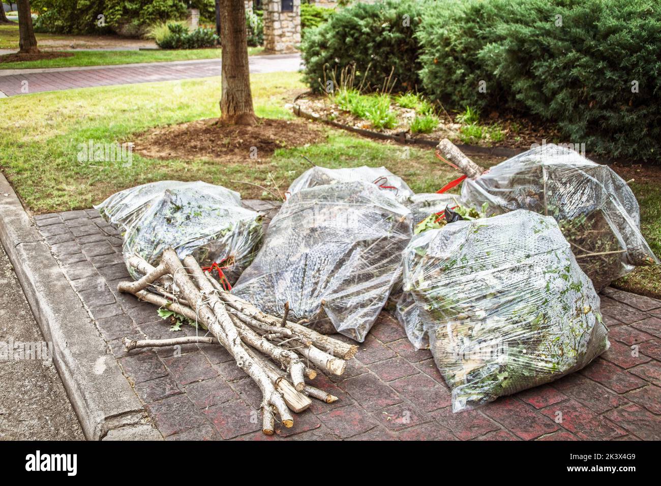 Las bolsas plásticas claras de la limpieza del patio amontonadas en el bordillo para la recogida junto con los palos cortados atados juntos Foto de stock