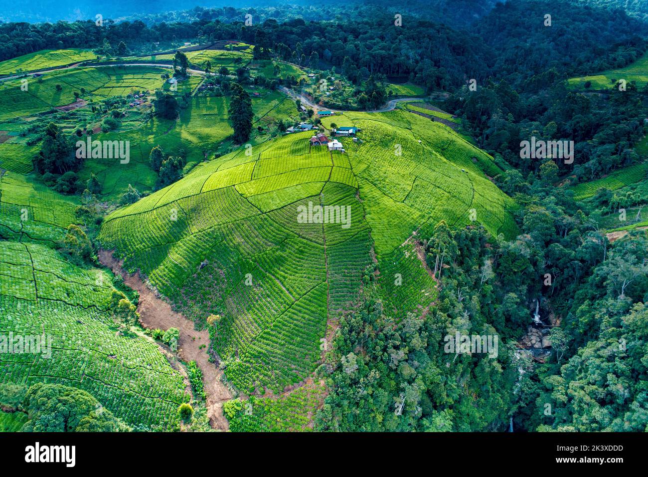 Una vista aérea de un hermoso paisaje montañoso cubierto de hierba verde en Kenia Foto de stock