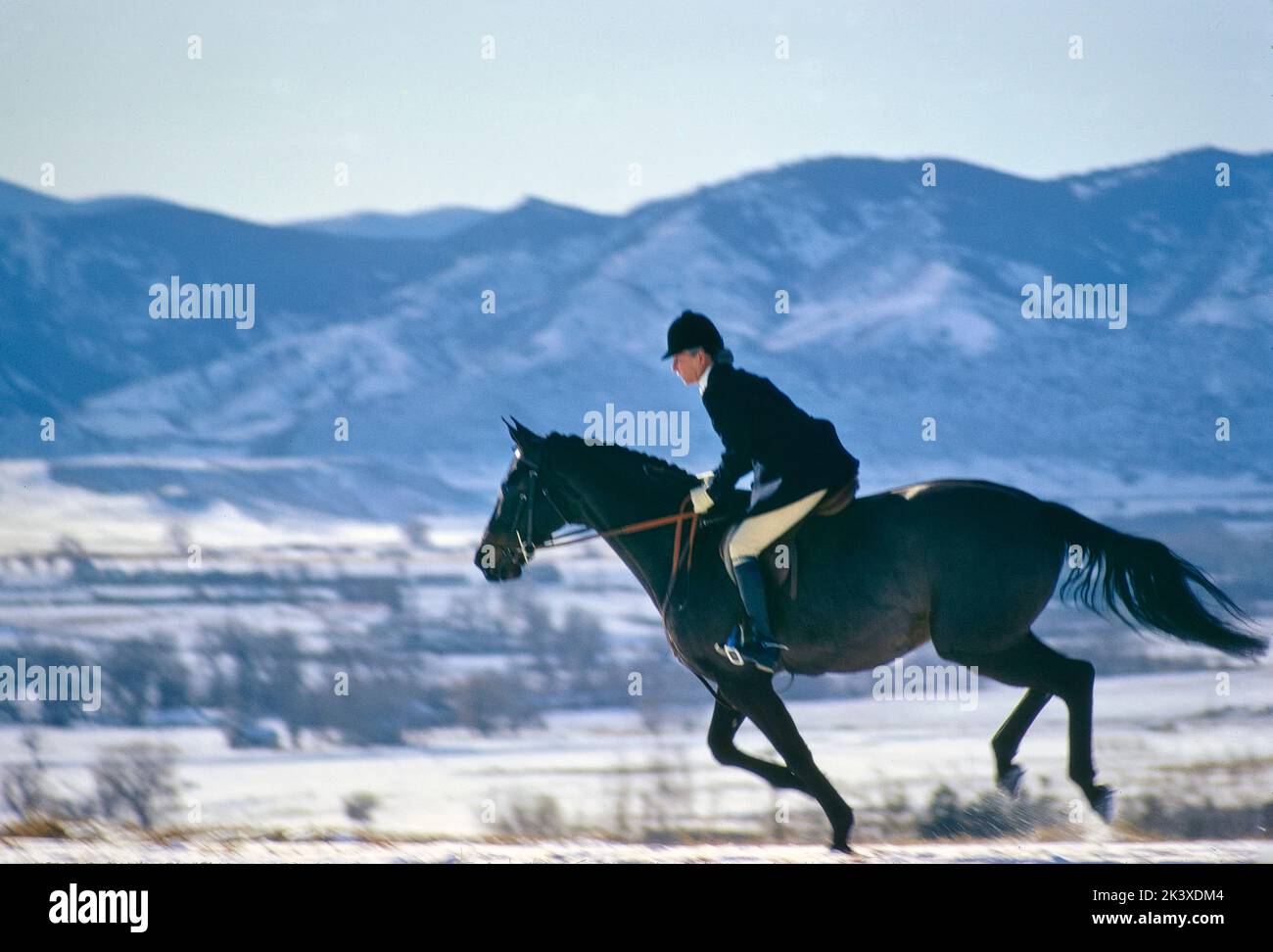 Equitación caballo, fondo de montaña, Colorado, EE.UU., Toni Frissell Collection, Mayo de 1967 Foto de stock